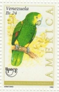 Colnect-1775-623-Yellow-shouldered-Amazon-Amazona-barbadensis.jpg