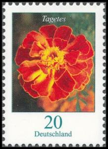 Colnect-4295-596-Tagetes-erecta---African-Marigold.jpg