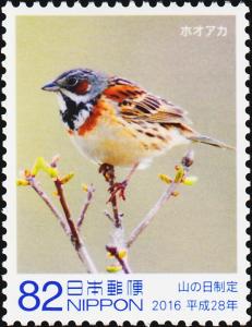 Colnect-5829-260-Chestnut-eared-Bunting-Emberiza-fucata.jpg