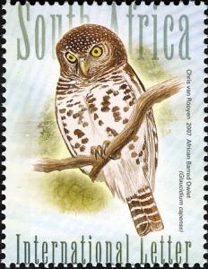 African-Barred-Owlet.jpg