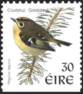 Colnect-1813-230-Goldcrest-Regulus-regulus.jpg