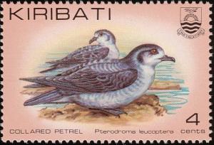 Colnect-1095-828-Gould-s-Petrel-Pterodroma-leucoptera-.jpg