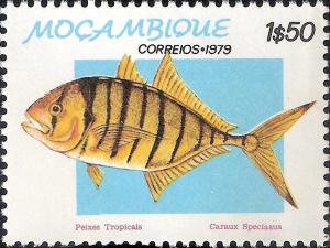 Colnect-1116-032-Golden-Trevally-Caranx-speciosus.jpg