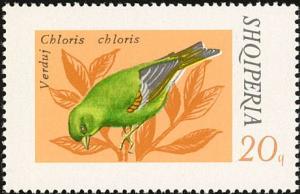 Colnect-1156-576-European-Greenfinch%C2%A0Chloris-chloris.jpg