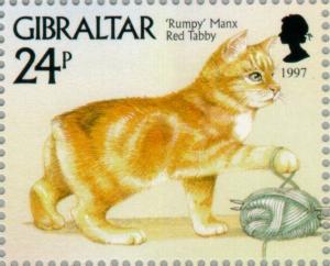 Colnect-120-842---Rumpy---Manx---Red-Tabby-Felis-silvestris-catus.jpg