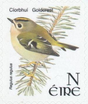 Colnect-129-870-Goldcrest-Regulus-regulus.jpg