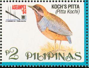 Colnect-1629-266-Whiskered-Pitta-Pitta-kochi.jpg