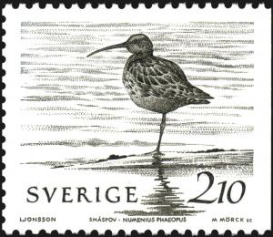 Colnect-1662-908-Whimbrel-Numenius-phaeopus.jpg