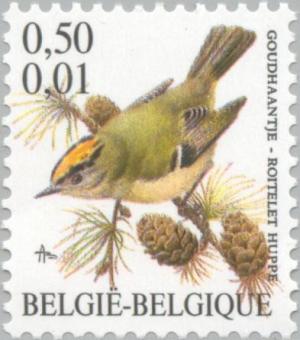 Colnect-187-697-Goldcrest-Regulus-regulus.jpg