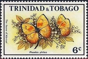 Colnect-2165-949-Orange-barred-Sulphur-Phoebis-philea.jpg