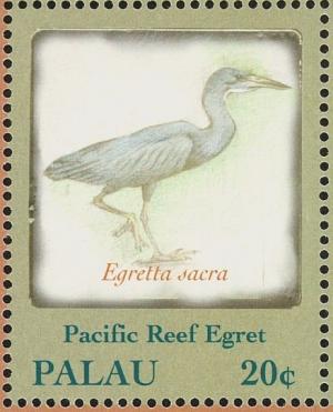 Colnect-2425-288-Pacific-Reef-Heron-Egretta-sacra.jpg