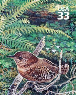 Colnect-2780-226-Winter-Wren-Troglodytes-hiemalis.jpg