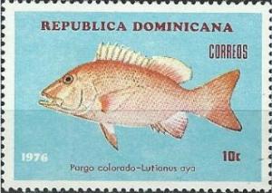 Colnect-3111-231-Northern-Red-Snapper-Lutyanus-aya.jpg