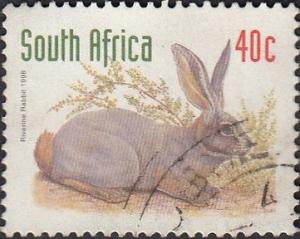 Colnect-3159-995-Bushman-Hare-Bunolagus-monticularis.jpg