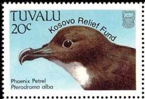 Colnect-4008-268-Phoenix-Petrel%C2%A0%C2%A0%C2%A0%C2%A0Pterodroma-alba.jpg