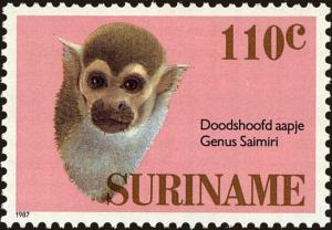 Colnect-4978-462-Common-Squirrel-Monkey-Saimiri-sciureus.jpg