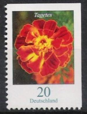 Colnect-580-102-Tagetes-erecta---African-Marigold.jpg