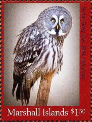 Colnect-5997-820-Great-Grey-Owl-Strix-nebulosa.jpg