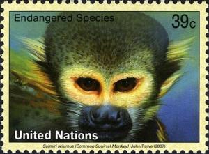 Colnect-611-528-Common-Squirrel-Monkey-Saimiri-sciureus.jpg