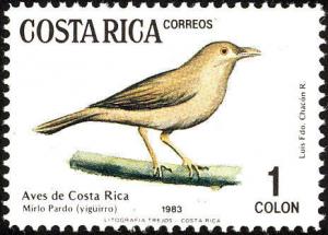 Colnect-758-987-Clay-colored-Thrush-Turdus-grayi.jpg