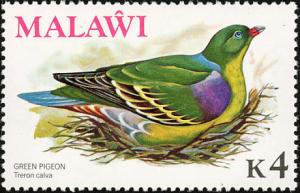 Colnect-864-259-African-Green-Pigeon-Treron-calva.jpg