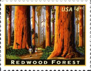 Colnect-887-663-Redwood-Forest.jpg