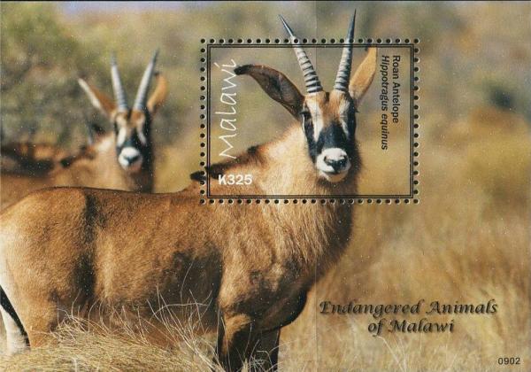 Colnect-2206-571-Endangered-wildlife---Antelope.jpg