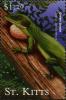 Colnect-3227-246-Green-anole-lizard.jpg