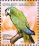 Colnect-1458-241-Great-Green-Macaw-Ara-ambigua.jpg