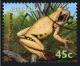 Colnect-1473-341-Roth-s-Tree-Frog-Litoria-rothii-.jpg