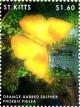 Colnect-3483-469-Orange-barred-Sulphur-Phoebis-philea.jpg