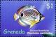 Colnect-4611-730-Foureye-butterflyfish.jpg