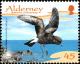 Colnect-5425-710-Storm-Petrel-Hydrobates-pelagicus.jpg