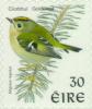 Colnect-129-475-Goldcrest-Regulus-regulus.jpg