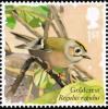 Colnect-4271-520-Goldcrest-Regulus-regulus.jpg