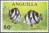 Colnect-1560-080-Banded-Butterflyfish-Chaetodon-striatus.jpg