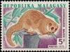 Colnect-2087-544-Greater-Dwarf-Lemur-Cheirogaleus-major.jpg