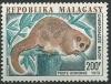 Colnect-2106-593-Greater-Dwarf-Lemur-Cheirogaleus-major.jpg