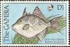 Colnect-2338-555-Gray-Triggerfish-Balistes-carolinensis.jpg