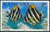 Colnect-5649-023-Common-Butterflyfish-Chaetodon-ocellatus.jpg