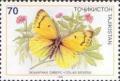 Colnect-1100-323-Butterfly-Colias-sieversi.jpg