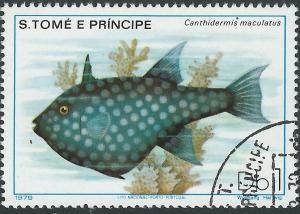 Colnect-2530-032-Rough-Triggerfish-Canthidermis-maculatus.jpg