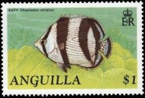 Colnect-2770-242-Banded-Butterflyfish-Chaetodon-striatus.jpg