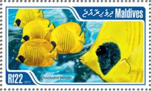 Colnect-4291-067-Bluecheek-Butterflyfish-Chaetodon-semilarvatus.jpg