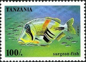 Colnect-4313-033-Lagoon-Triggerfish-Rhinecanthus-aculeatus.jpg