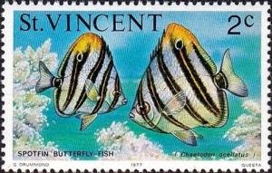 Colnect-5865-149-Common-Butterflyfish-Chaetodon-ocellatus.jpg