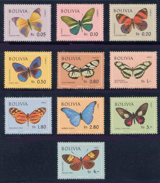 Skap-bolivia_02_butterflies_521-25%2Cc302-6.jpg