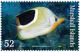 Colnect-1902-185-Saddle-Butterflyfish-Chaetodon-ephippium.jpg