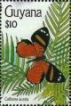 Colnect-3453-698-Butterfly-Callizona-acesta.jpg