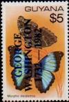 Colnect-4745-788-Surcharge-on-Morpho-deidamia.jpg